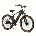 VLTRON Leisure City E-Bike