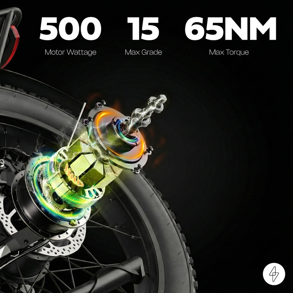 VLTRON Leisure City E-Bike