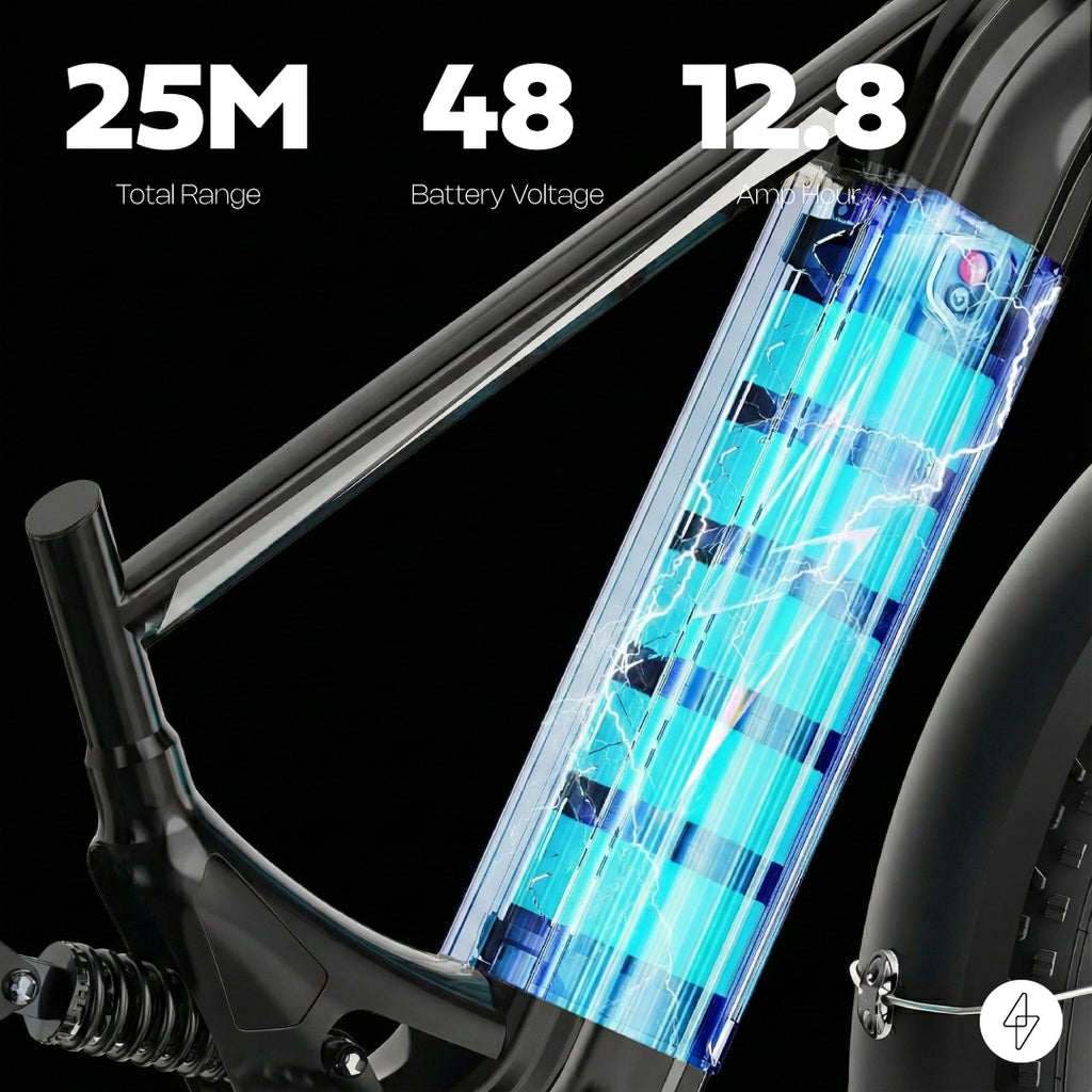 VLTRON Leisure City E-Bike